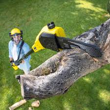 Best Aeration Services  in Portola, CA